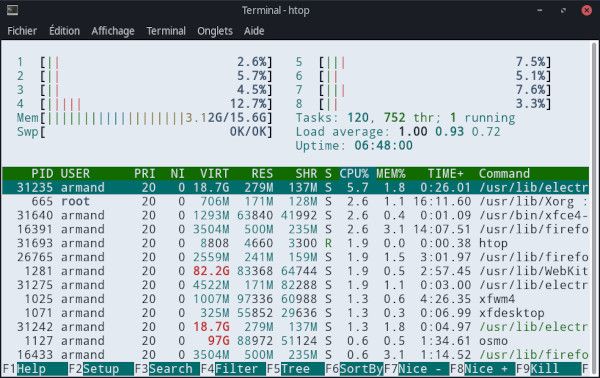 Aperçu de Coldark Cold dans le terminal de XFCE