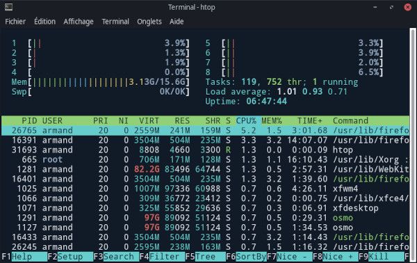 Aperçu de Coldark Dark dans le terminal de XFCE